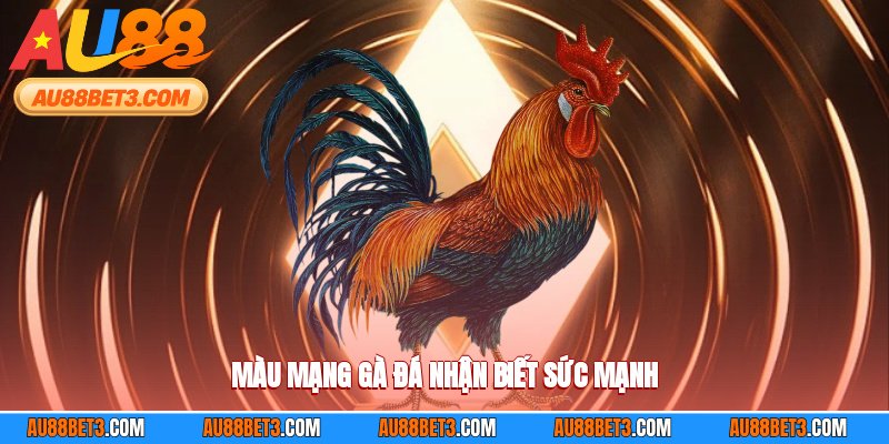 Màu mạng gà đá nhận biết sức mạnh